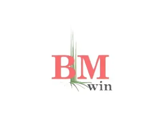 Bm Win Litenlogo