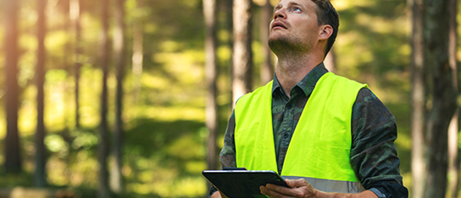 Fyra Skäl Till Att Certifiera Skogen