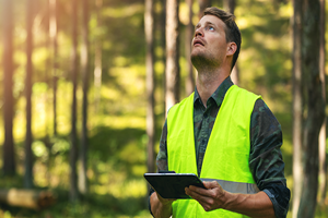 Fyra Skäl Till Att Certifiera Skogen